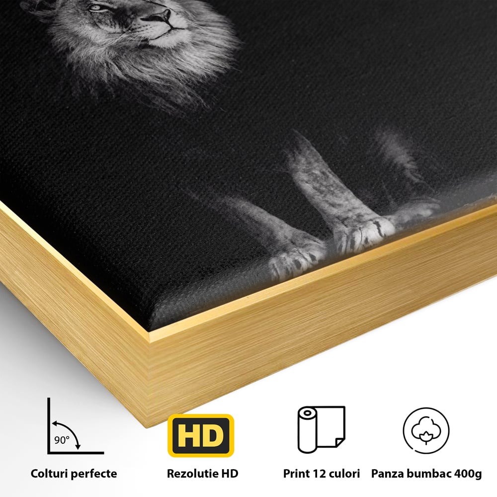 Detaliu al suprafetei: tablou canvas cu leu alb-negru, in rama de aluminiu auriu